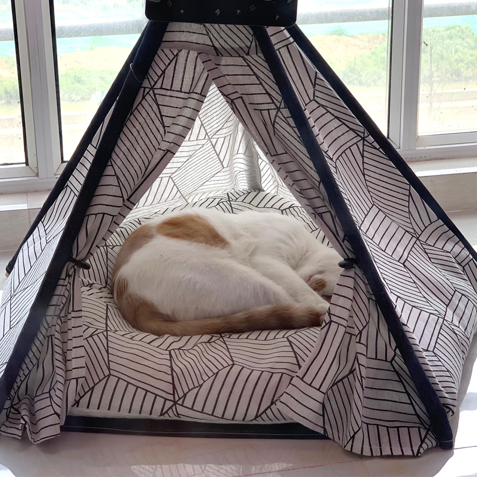 Weiß / Drucken Haustier Katze Hund Tipi Zelt Haus Bett Set mit Kissen