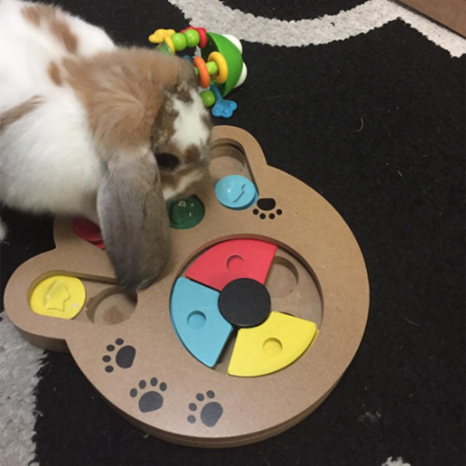 Katze Haustier Spiel Hund IQ Training Spielzeug Intelligenz Puzzle