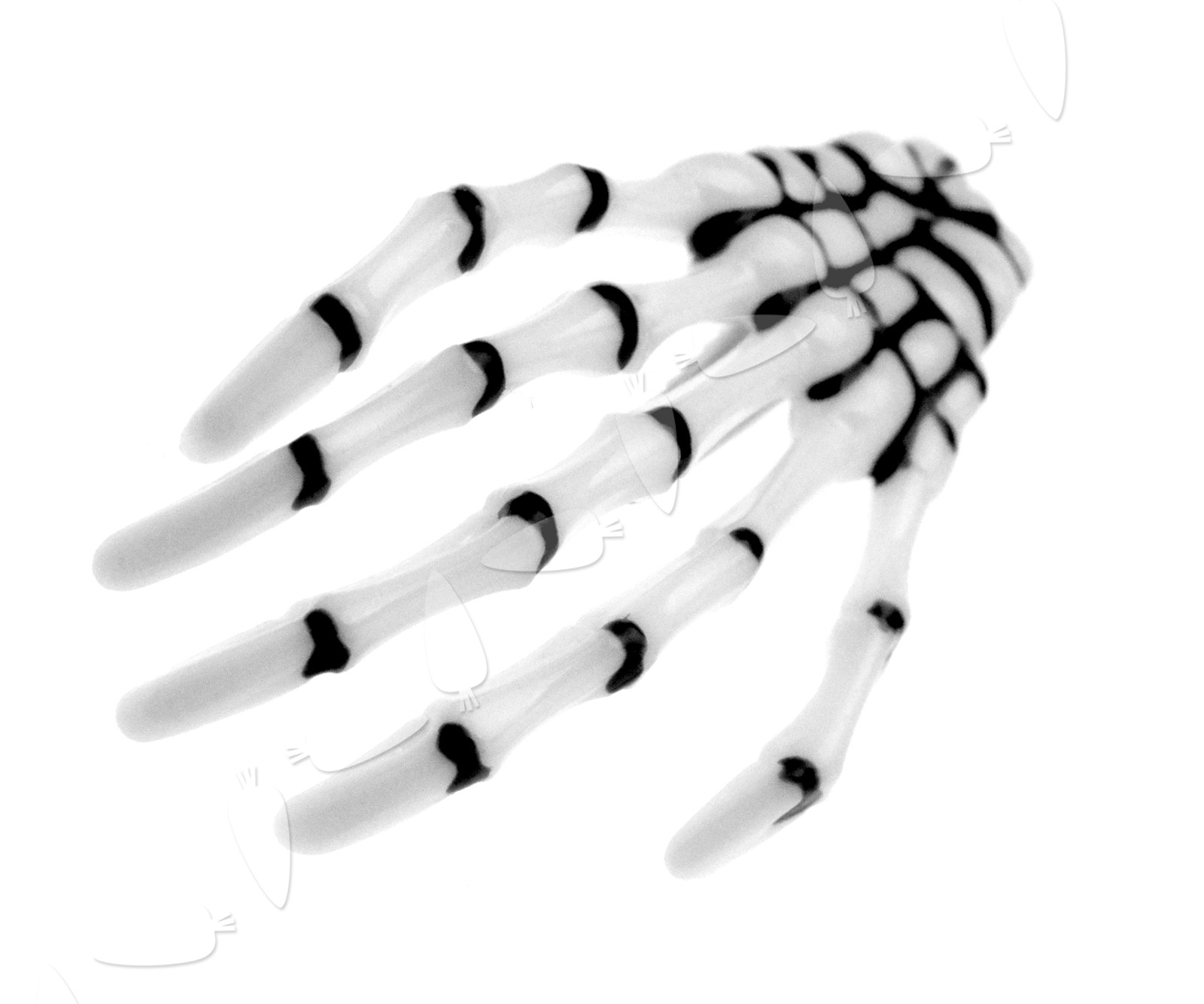 2PCS Skeleton Claw Hair Clip Bone Claw Clip Hairpin Punk 657472206715 ...