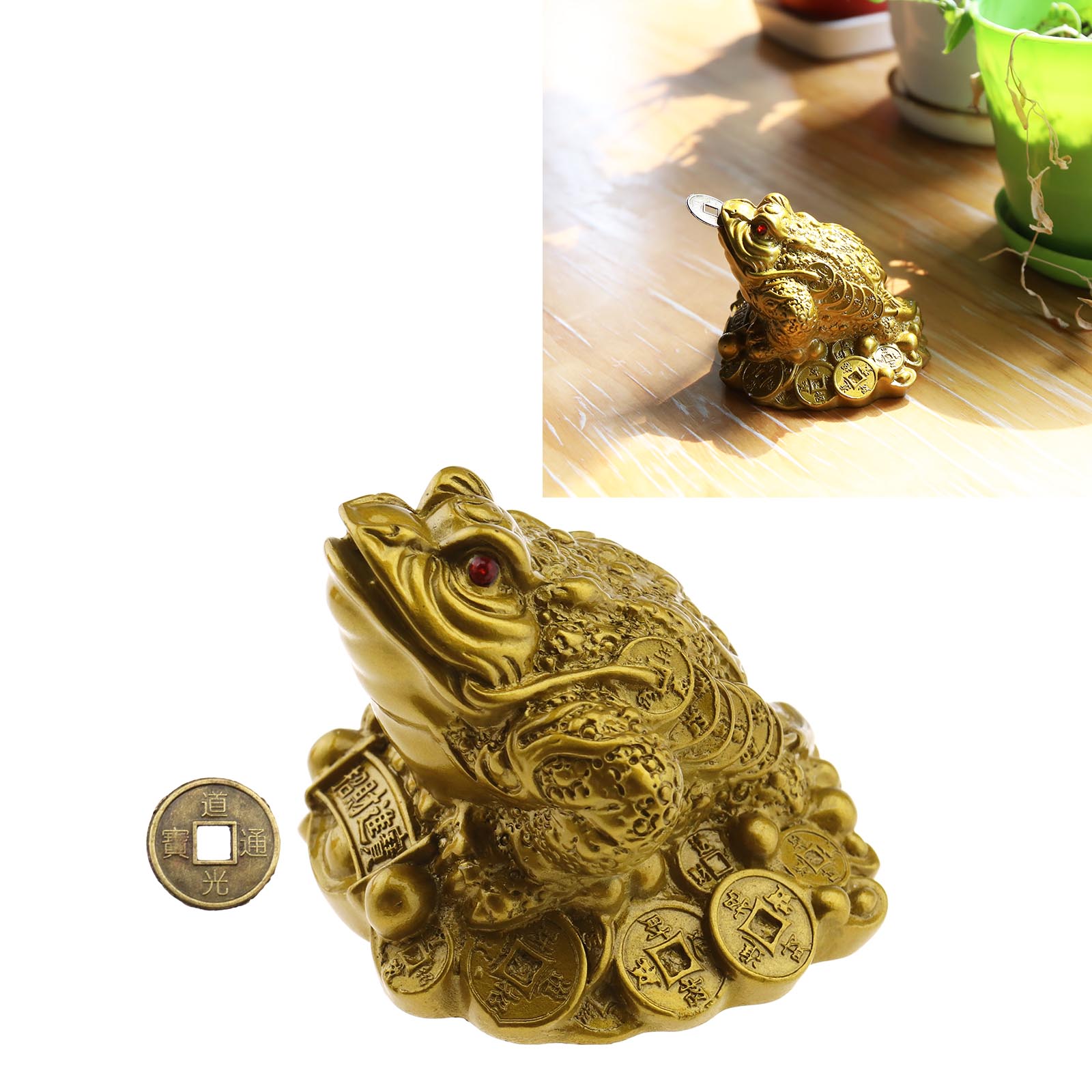 Chinese Feng Shui Frog Coin Fenghui Toad Money Lucky Oriental Fortune 