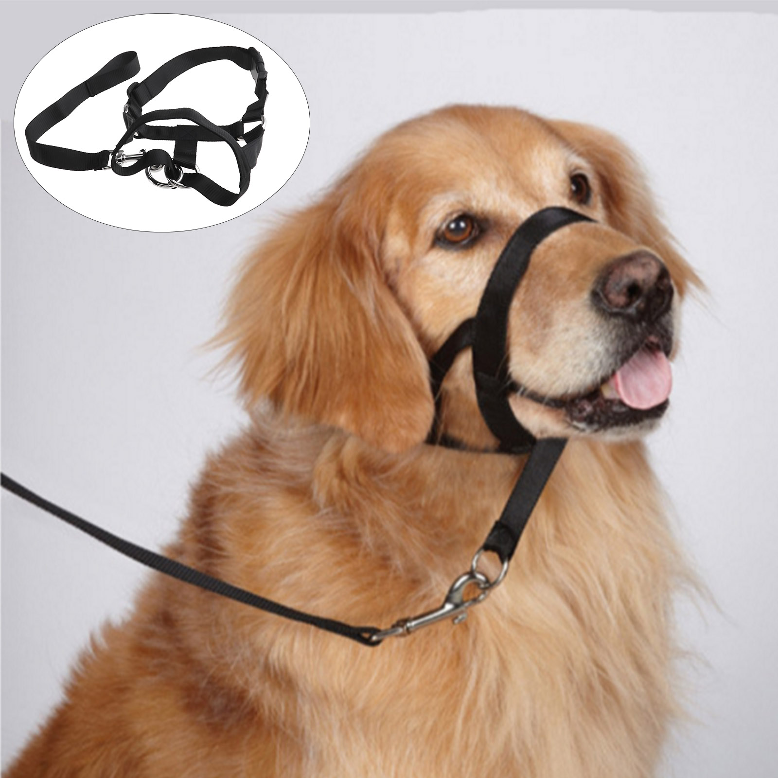 S/M/L/XL Puppy Halter Harness Stop Dog Pulling Walk Easy Lead Pets Nylon Black | eBay