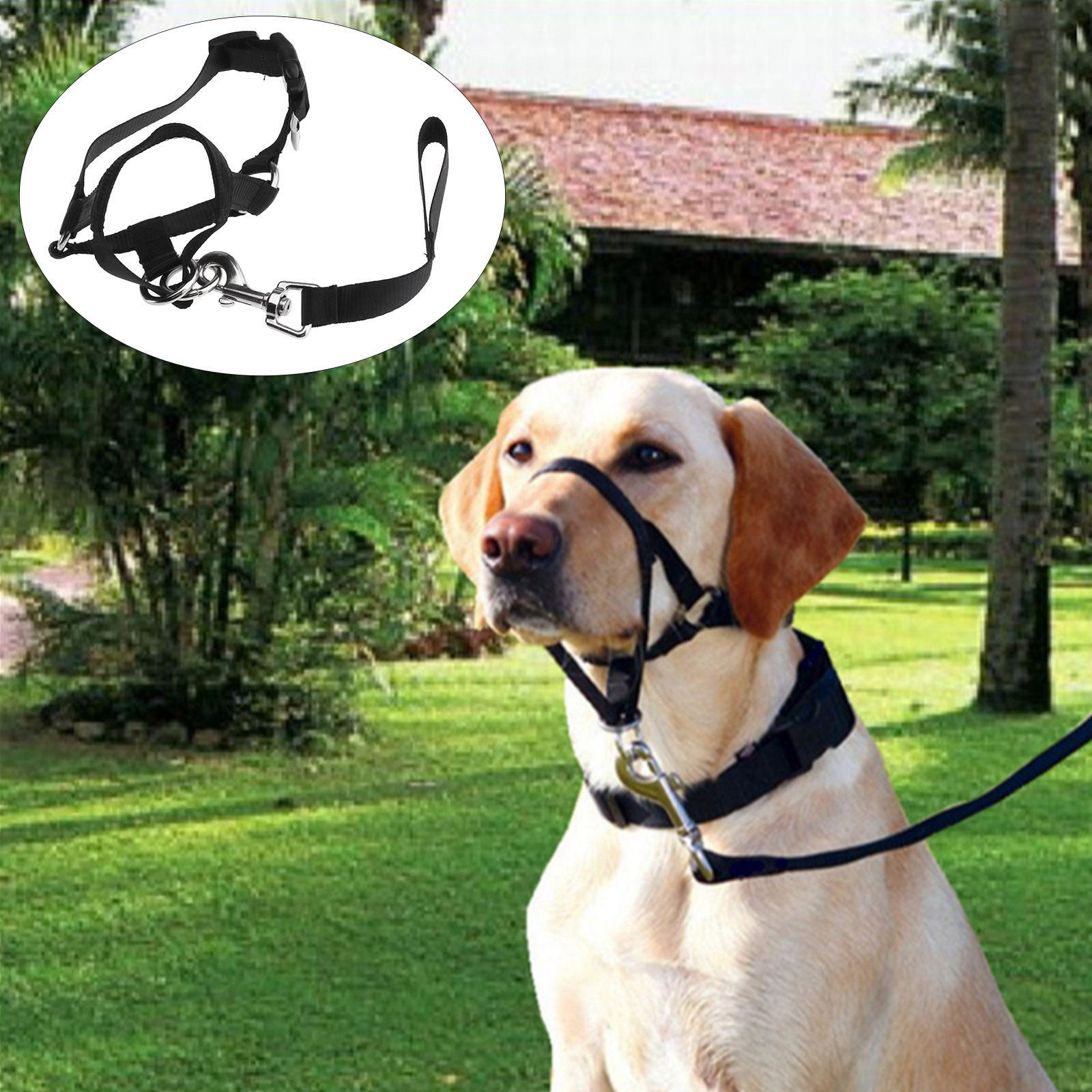 dog-muzzle-halti-head-collar-stops-dog-pulling-halter-training-nose