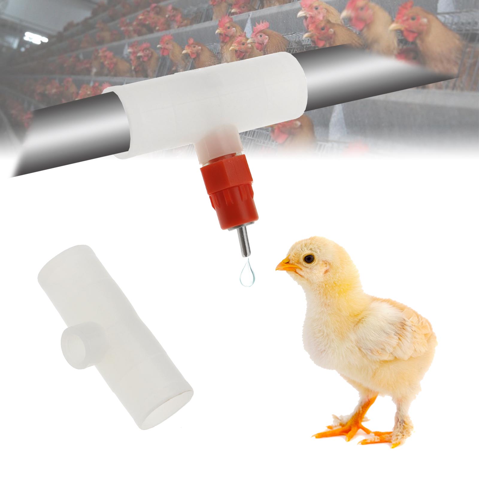 10pcs Chicken Nipples And Tees Poultry Automatic Watering And Pvc Tee Fitting Kit Ebay 